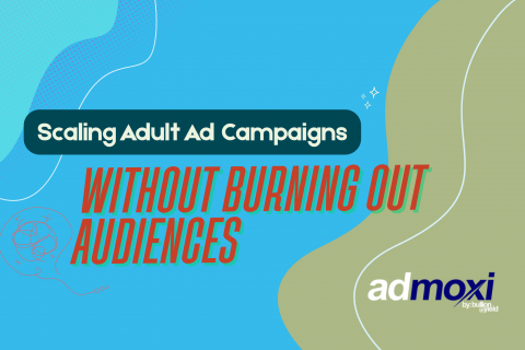 Scaling Adult Ad Campaigns Without Burning Out Audiences